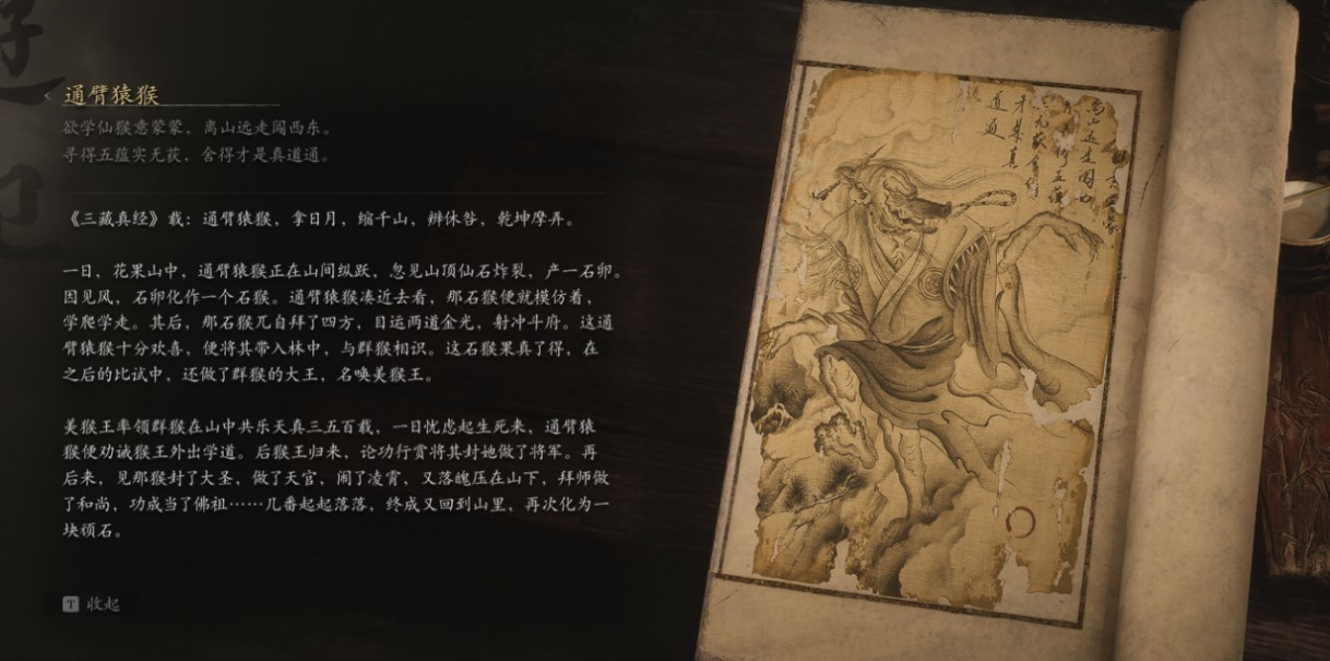 Mandrill Chief - 通臂猿猴