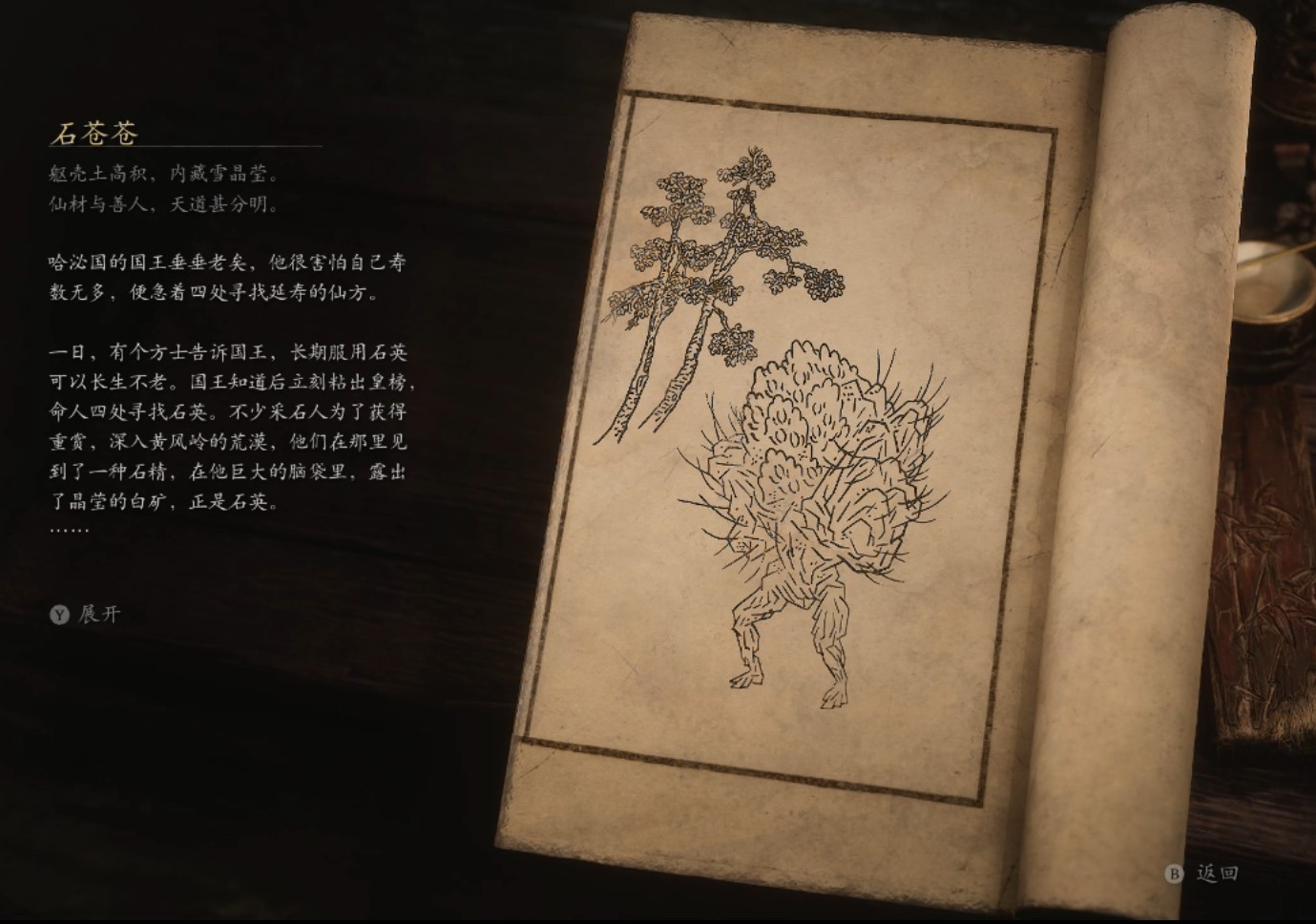 Palestone - 石苍苍