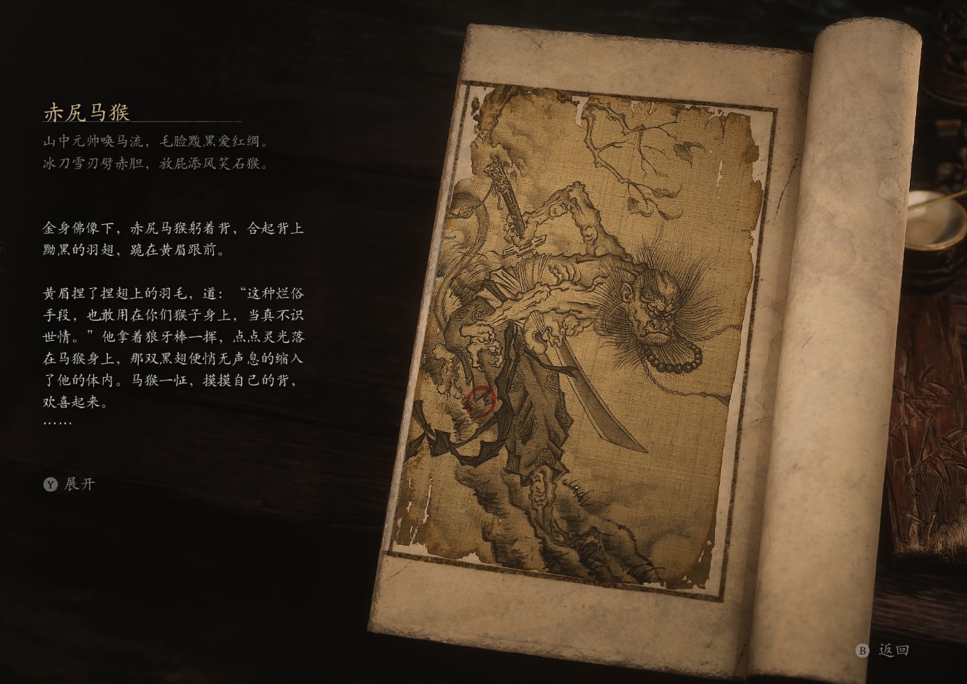 Macaque Chief - 赤尻马猴